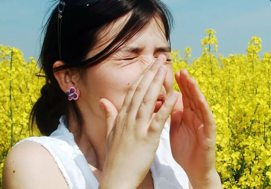 O que são alergénios: quantos tipos existem e que tipo de reações provocam?